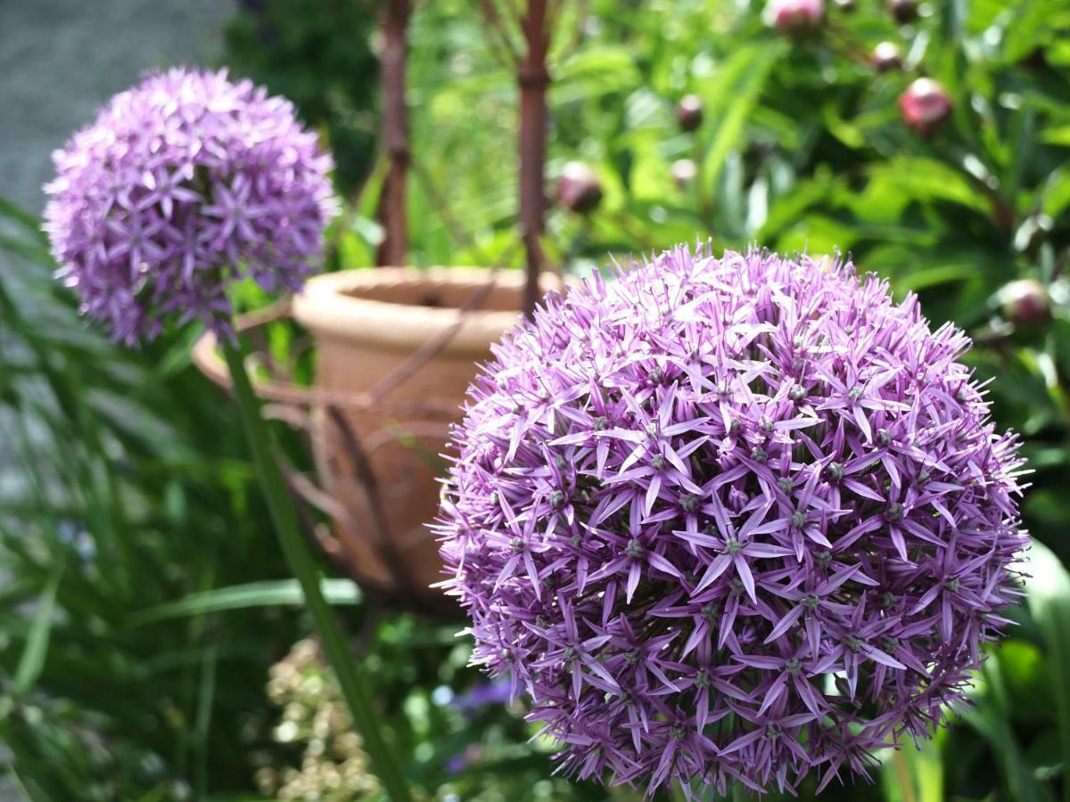 Ferienhaus In Der Schlipfing Mit Garten Altmünster Dış mekan fotoğraf