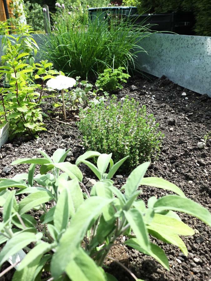 Ferienhaus In Der Schlipfing Mit Garten Altmünster Dış mekan fotoğraf
