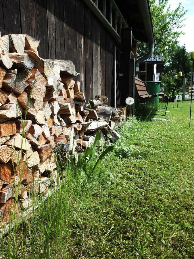 Ferienhaus In Der Schlipfing Mit Garten Altmünster Dış mekan fotoğraf